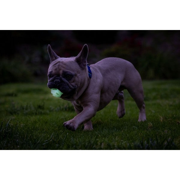 Chuckit! Air Glow Fetch Ball
