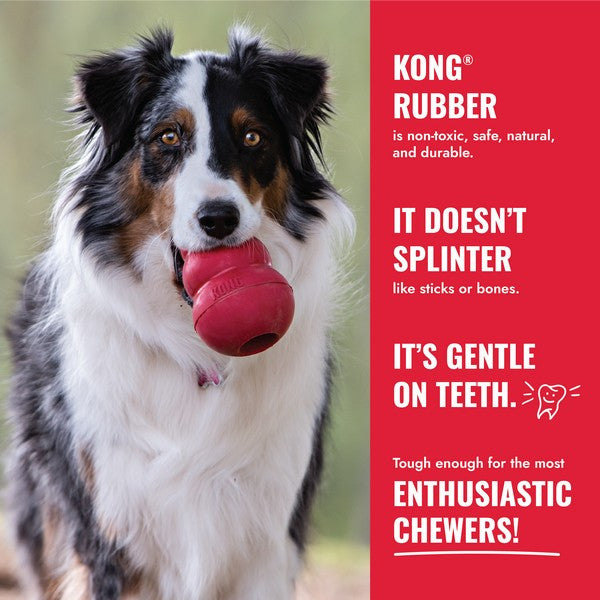 KONG Ball Large