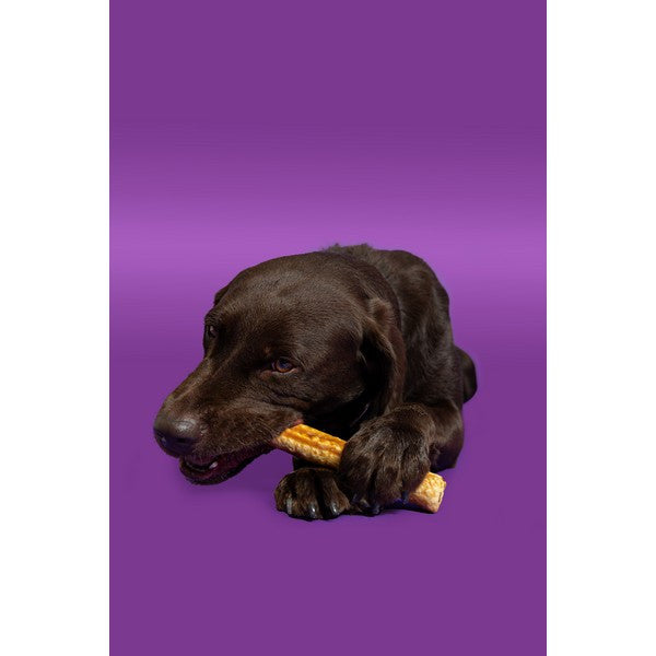 Pawtential Collagen Chew Beef Flavour Large 110g