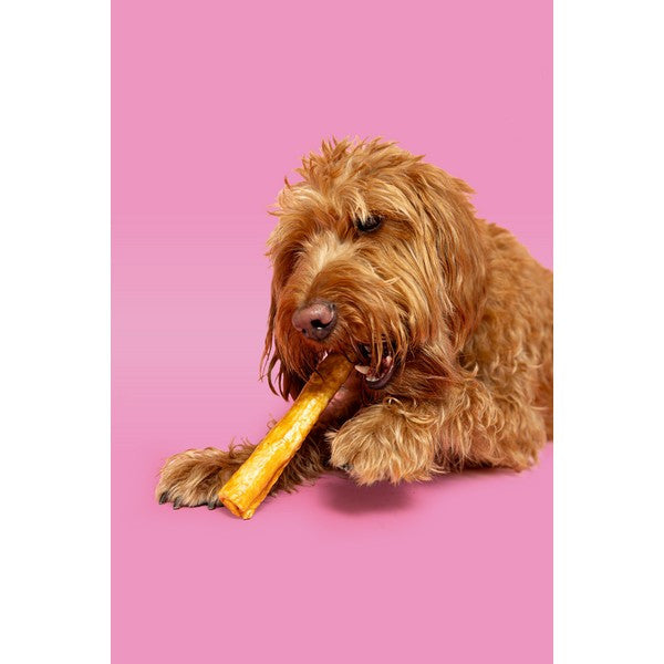 Pawtential Collagen Chew Peanut Flavour Large 110g