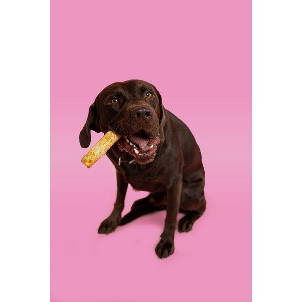 Pawtential Collagen Chew Salmon Flavour Large 110g