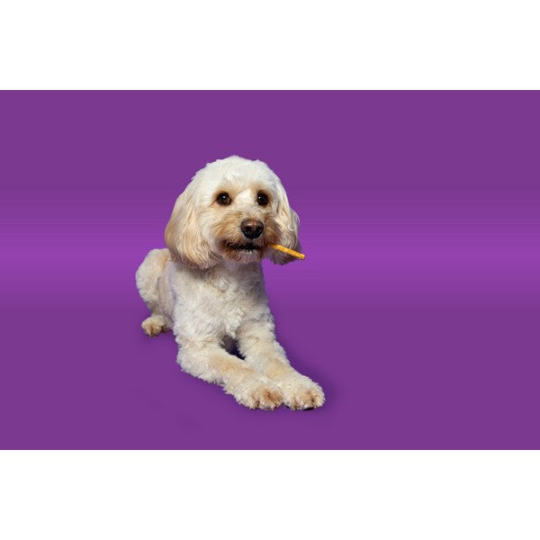 Pawtential Collagen Chew XS 6 Sticks Salmon Flavour
