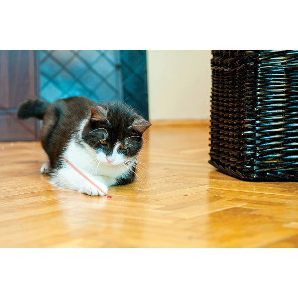 KONG Cat Laser Pointer