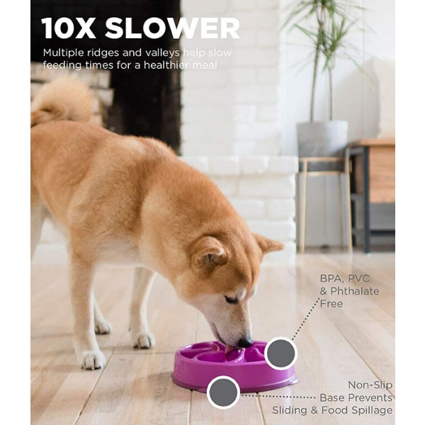 Rosewood Outward Hound Fun Feeder Flower Purple Large Dog Puzzle Toy