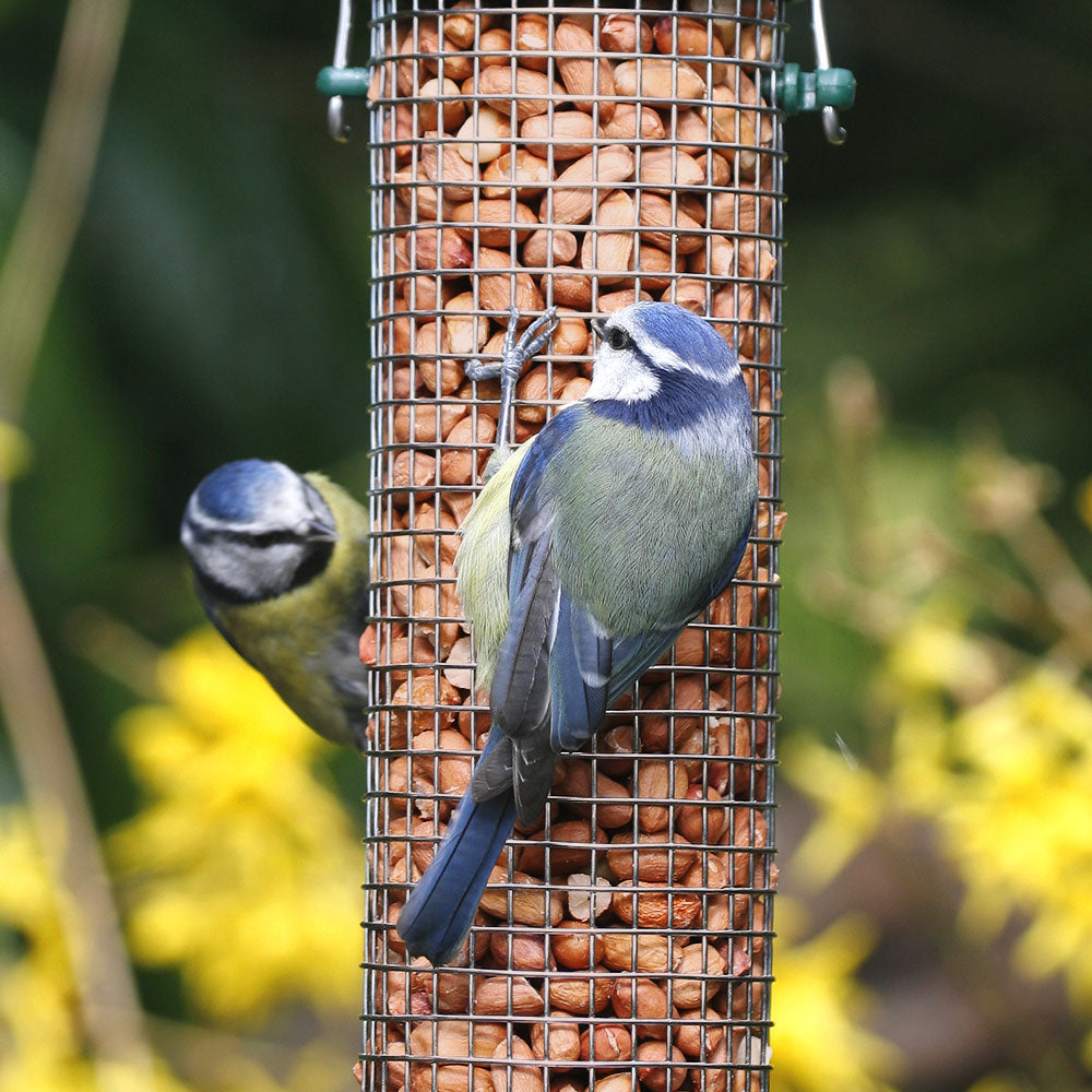 National Trust Medium Metal Peanut Feeder
