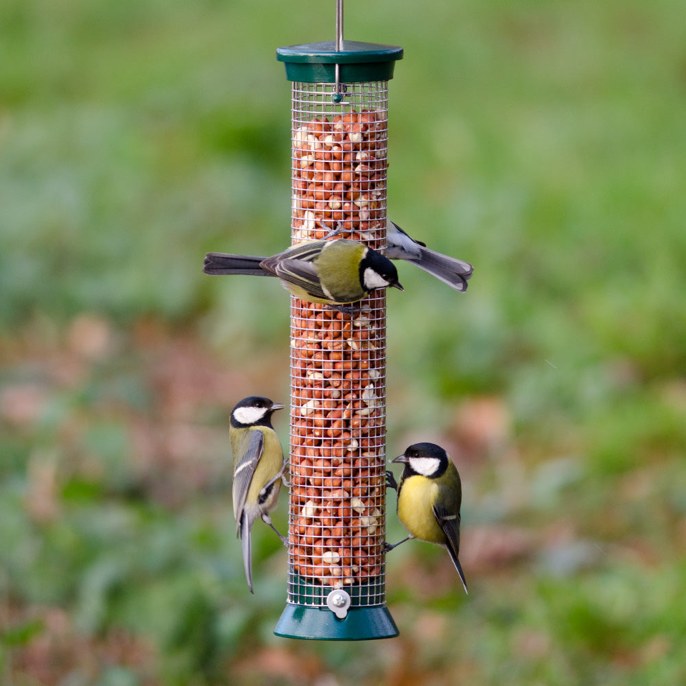 National Trust Medium Metal Peanut Feeder
