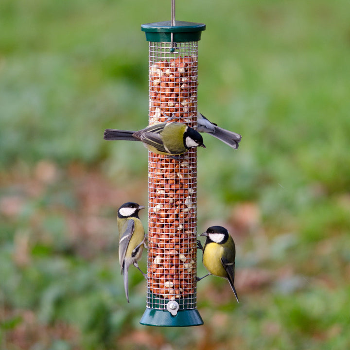 National Trust Medium Metal Peanut Feeder