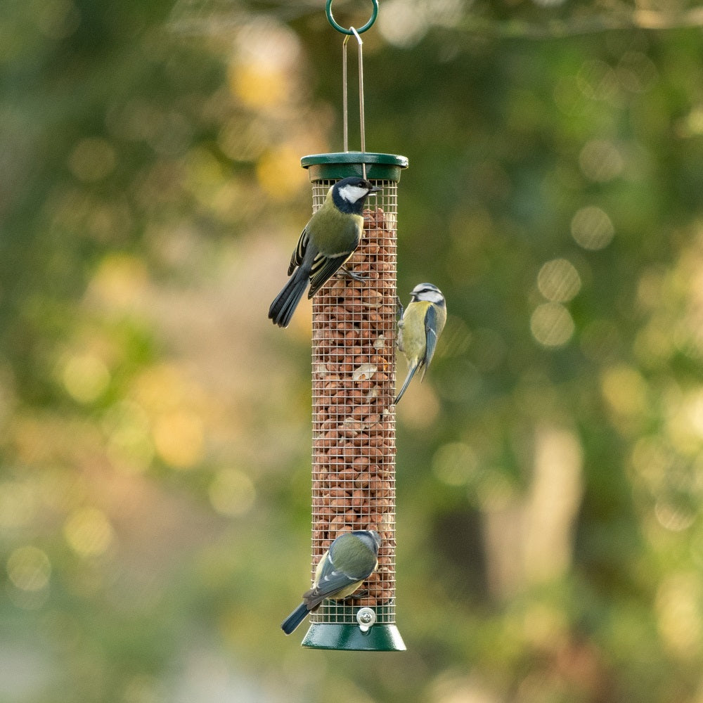 National Trust Medium Metal Peanut Feeder
