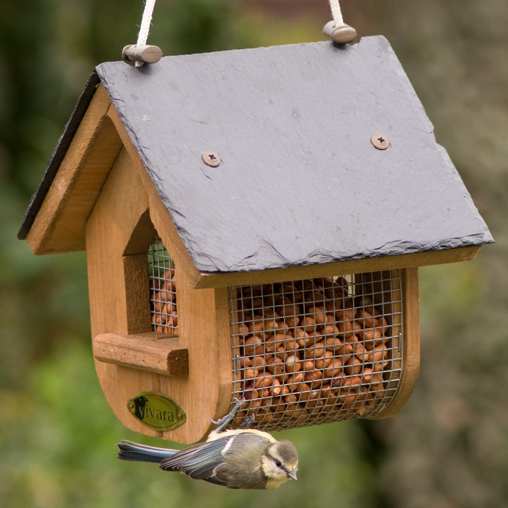 National Trust Jupiter Slate Peanut And Suet Feeder