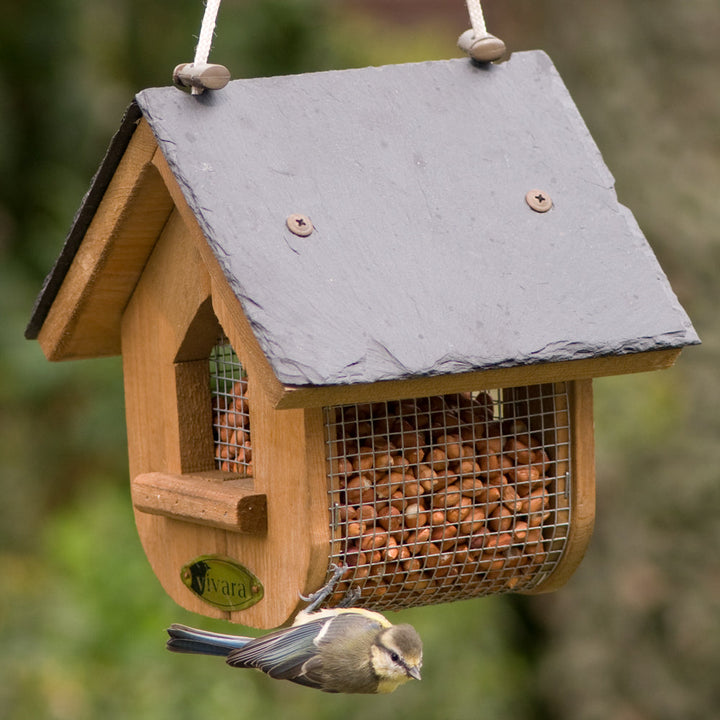 National Trust Jupiter Slate Peanut And Suet Feeder