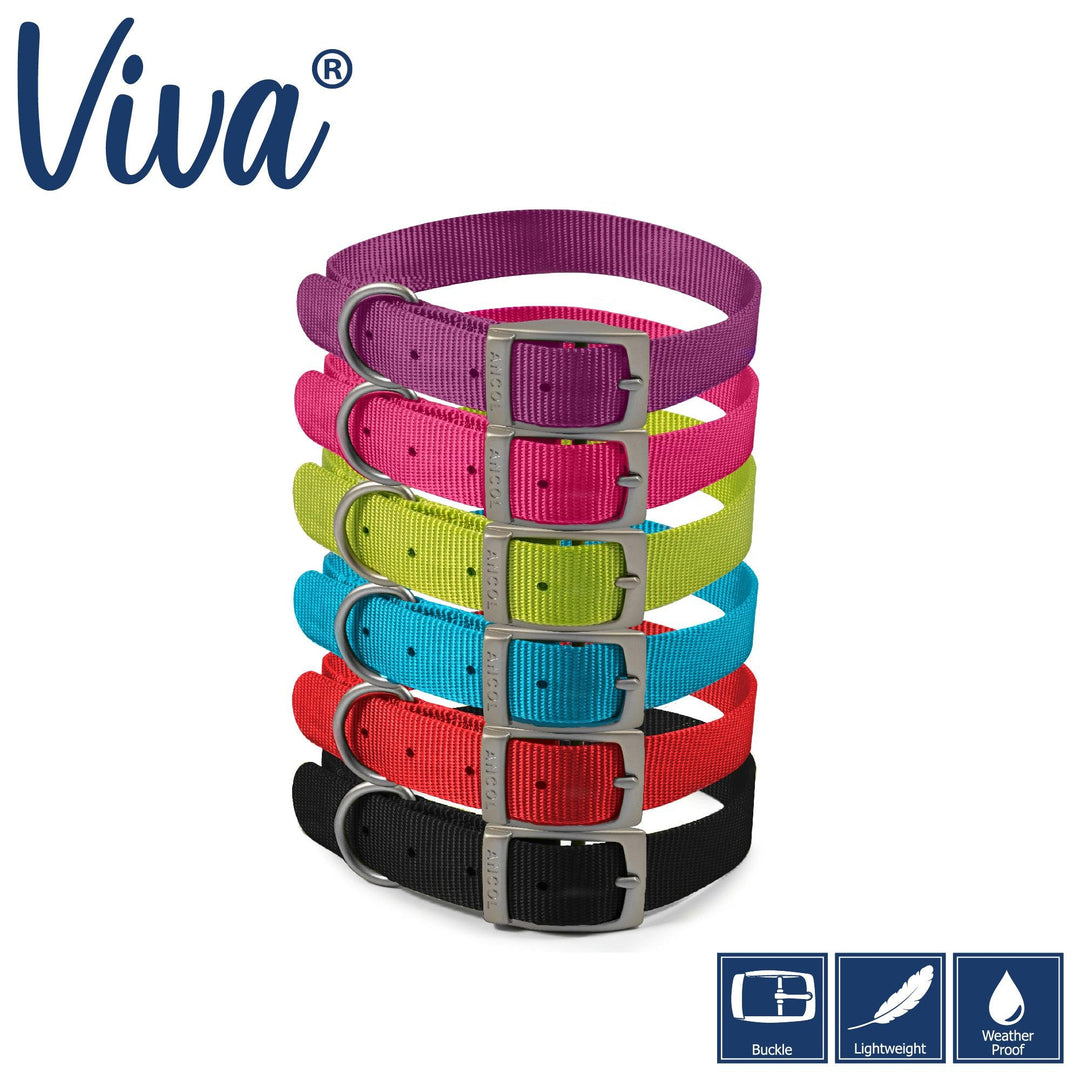 Ancol Viva Collar Lime 26-31cm Size 2