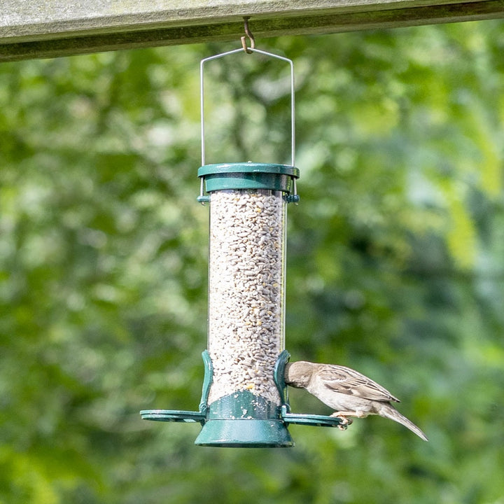National Trust 2 Port Metal Seed Feeder