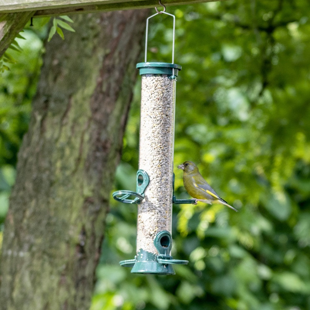 National Trust 4 Port Metal Seed Feeder