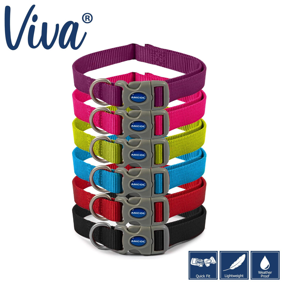 Ancol Viva Adjustable Collar Red 30-50cm Size 2-5 - Ormskirk Pets
