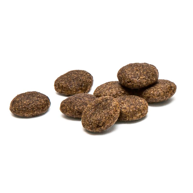 Plaqueoff For Cats Dental Bites Salmon Flavour 60G