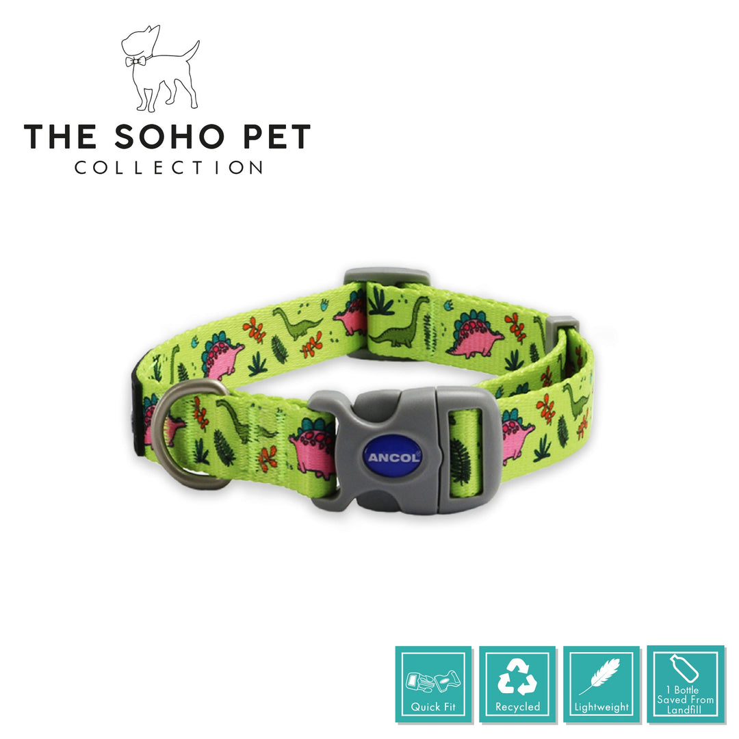 Ancol Dino Patterned Collar S