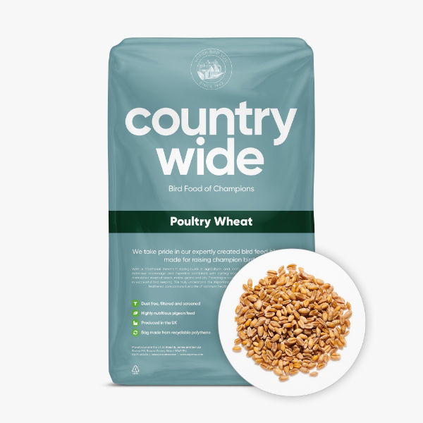 Countrywide Poultry Wheat 20Kg