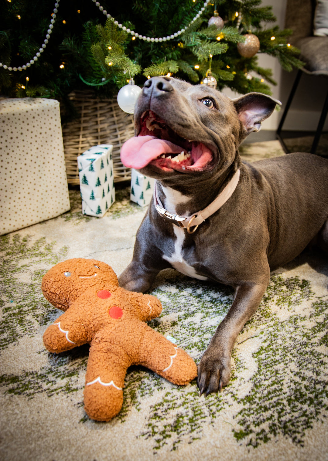 Rosewood tufflove Gingerbread Dog Toy