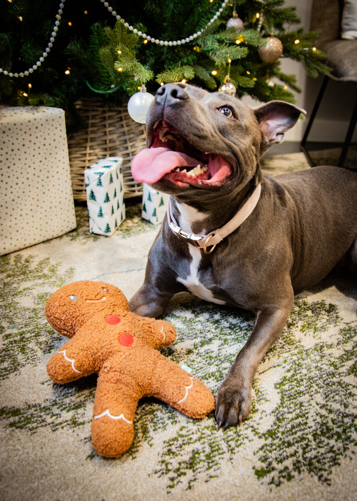 Rosewood tufflove Gingerbread Dog Toy