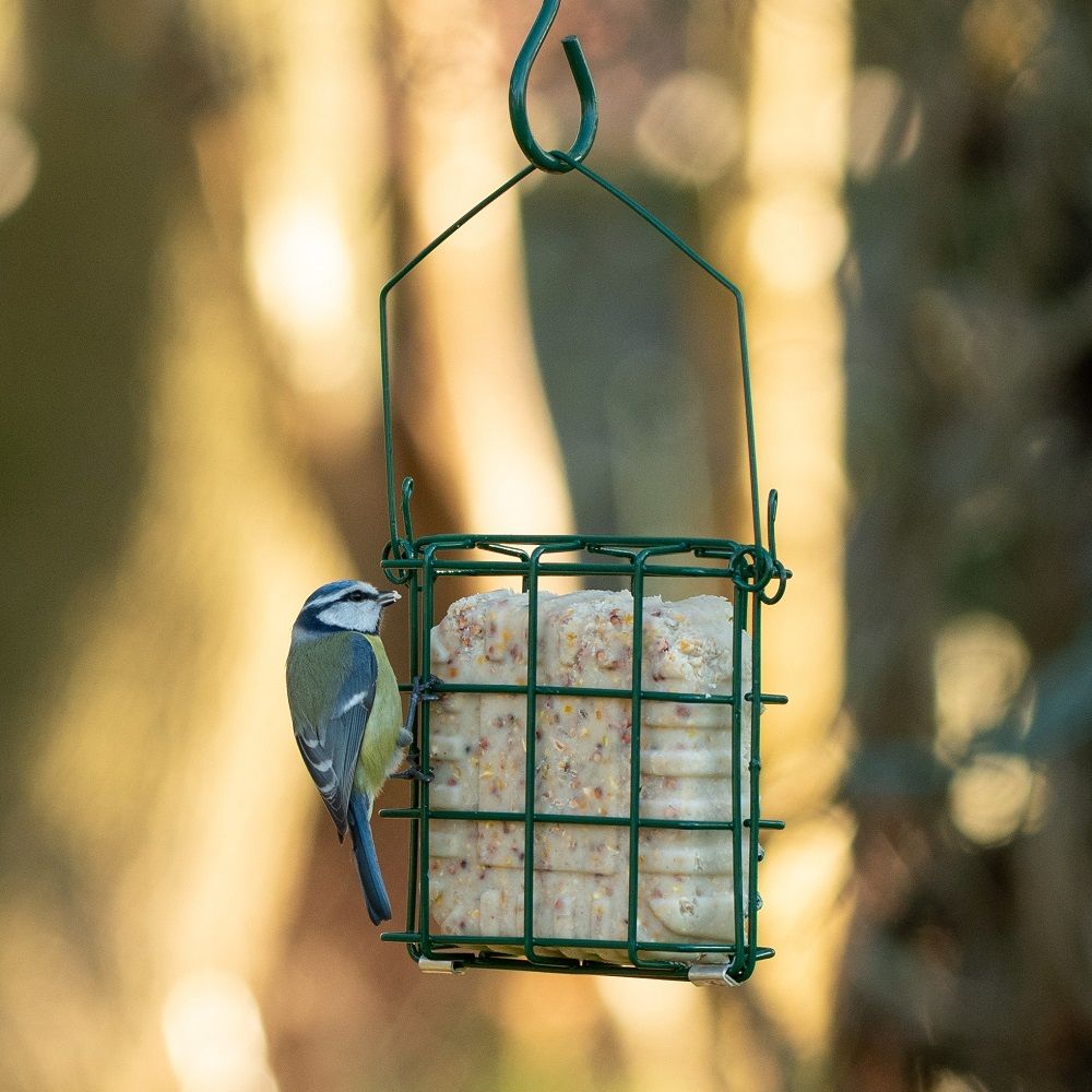 National Trust Rhine Peanut Cake Square Feeder