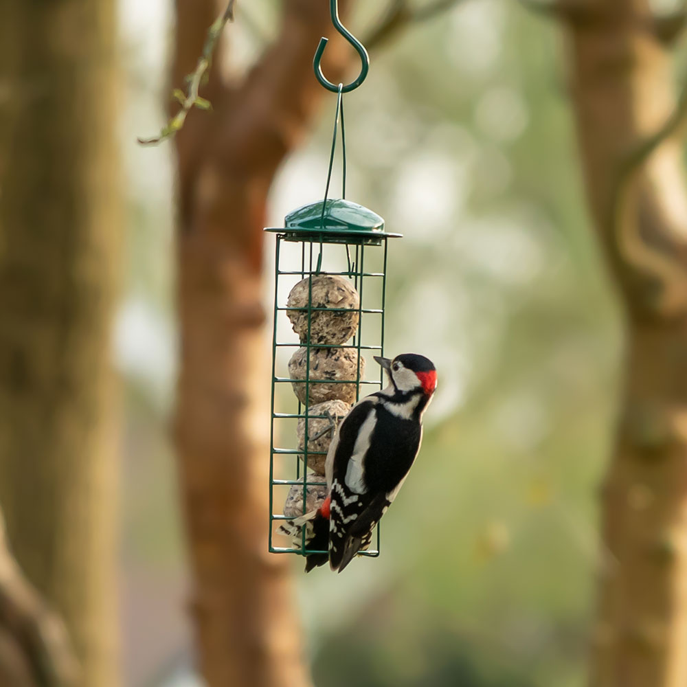 National Trust Upright Fat Ball Feeder