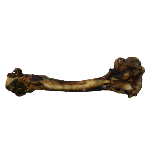 Healthy Paws Deer Bone Lge Box of 20