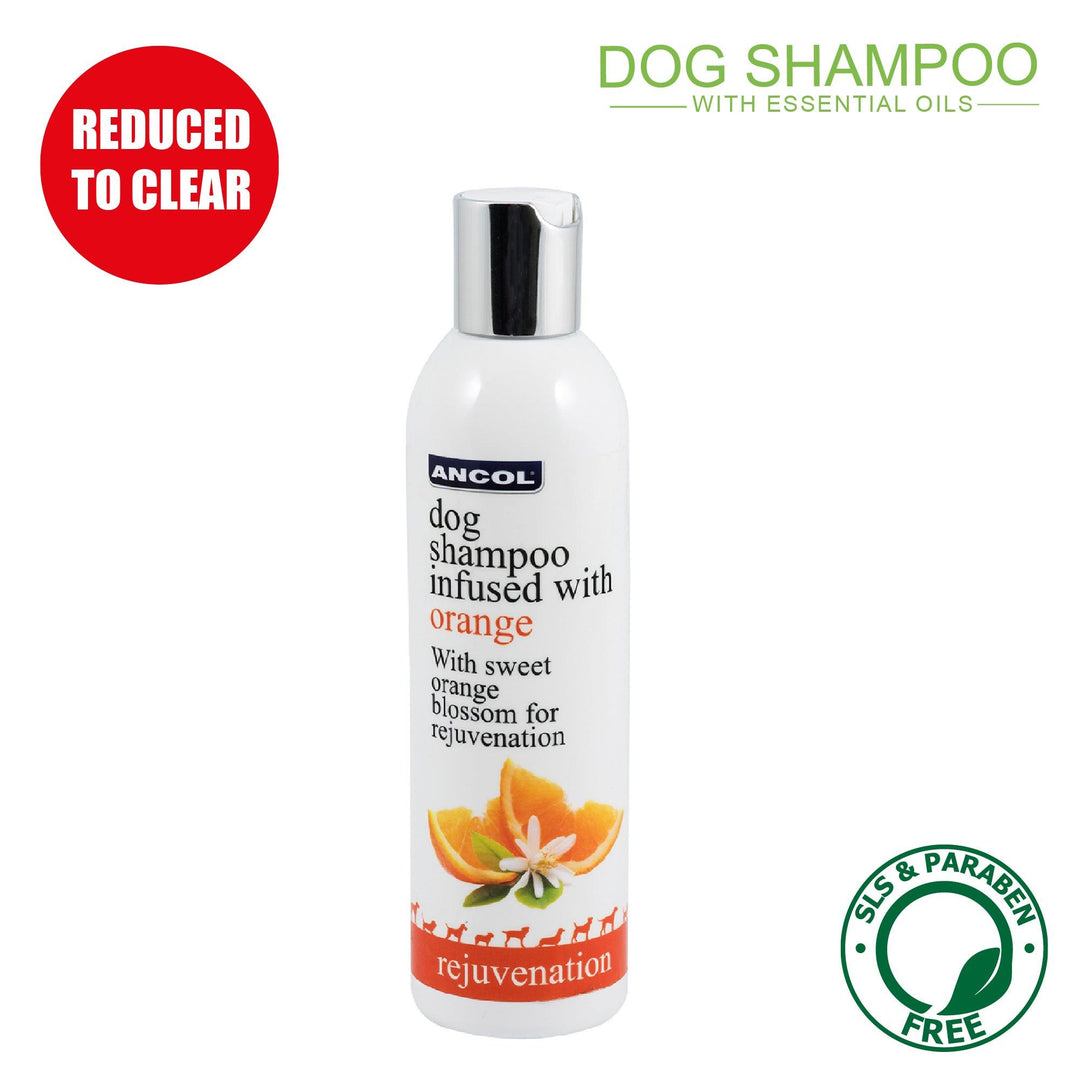 Ancol Luxury Dog Shampoo Orange 250ml