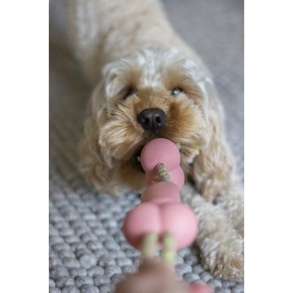 Rosewood BBQ Flavour Rubber &amp; Rope Bone - Ormskirk Pets