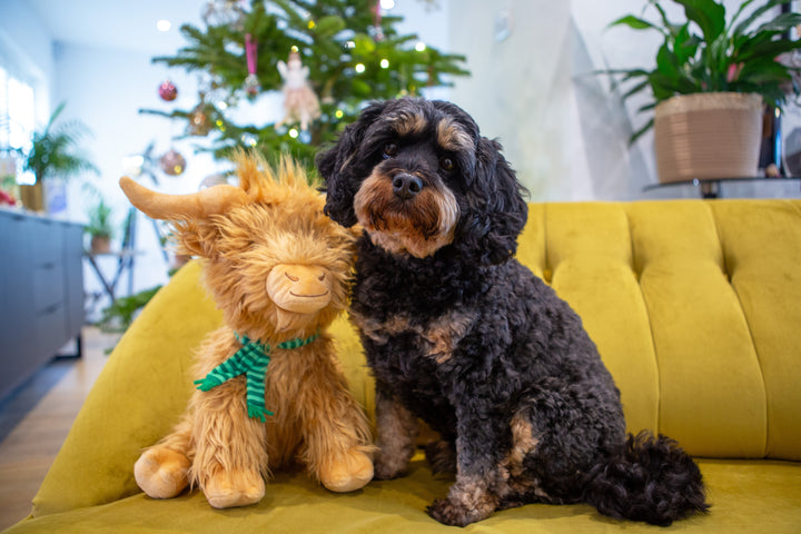 Happy Pet Festive Highland Cow Jumbo