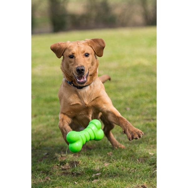 Rosewood Squeaky Tough Bone