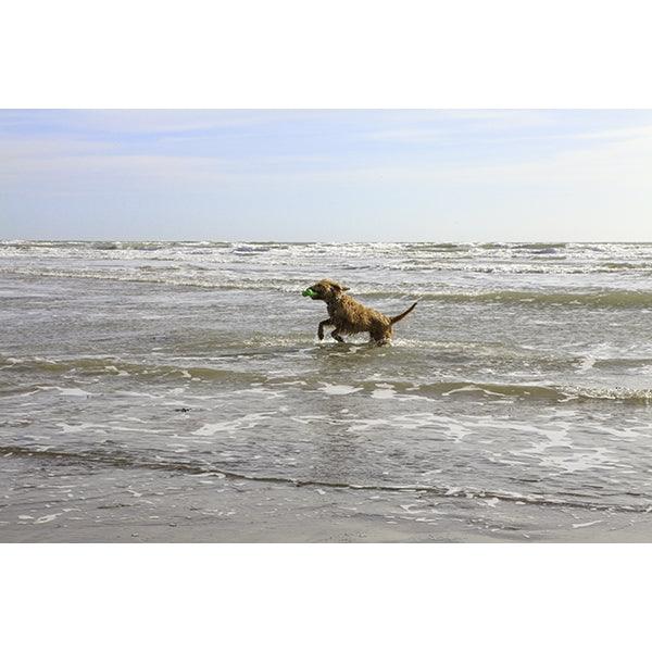 Rosewood Squeaky Tough Bone