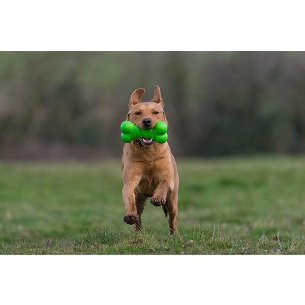 Rosewood Squeaky Tough Bone