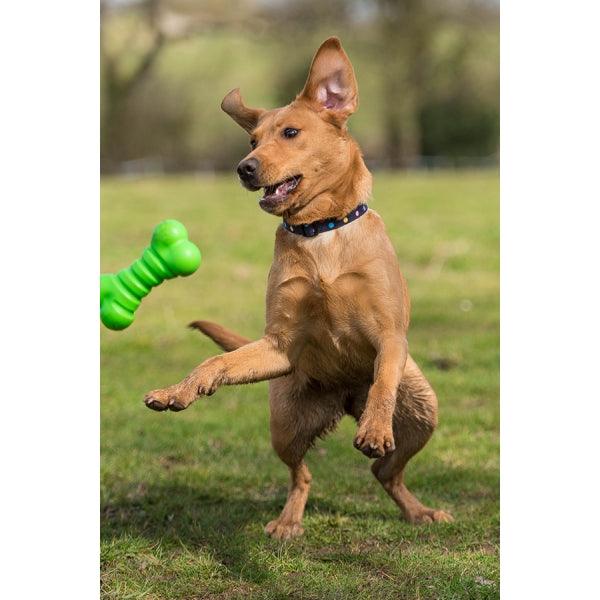 Rosewood Squeaky Tough Bone