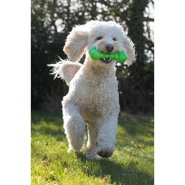 Rosewood Squeaky Tough Bone