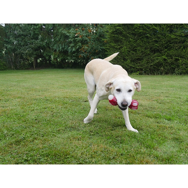 Rosewood Tough Toys Meaty Bacon Takeaway Bone Large