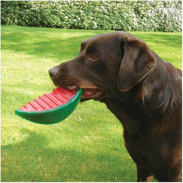 Rosewood Watermelon Biosafe Toy