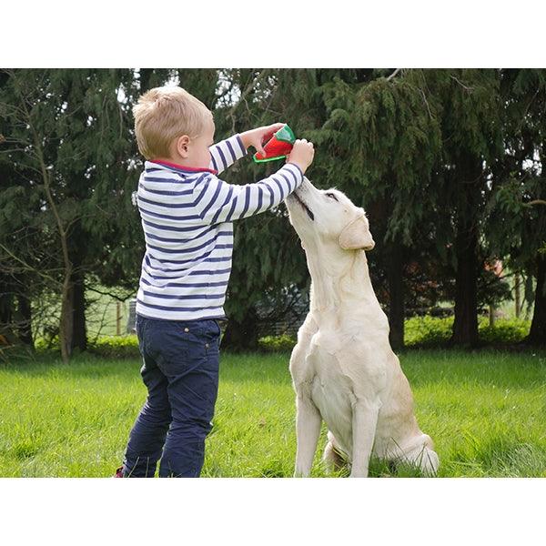 Rosewood Watermelon Biosafe Toy