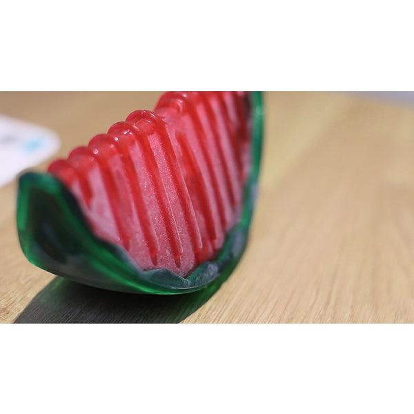 Rosewood Watermelon Biosafe Toy