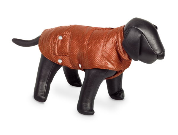 Nobby Danika Dog Coat Orange With Silver Dots