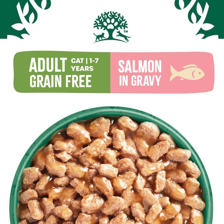 James Wellbeloved Adult Cat Grain Free Salmon In Gravy  12 X 85G