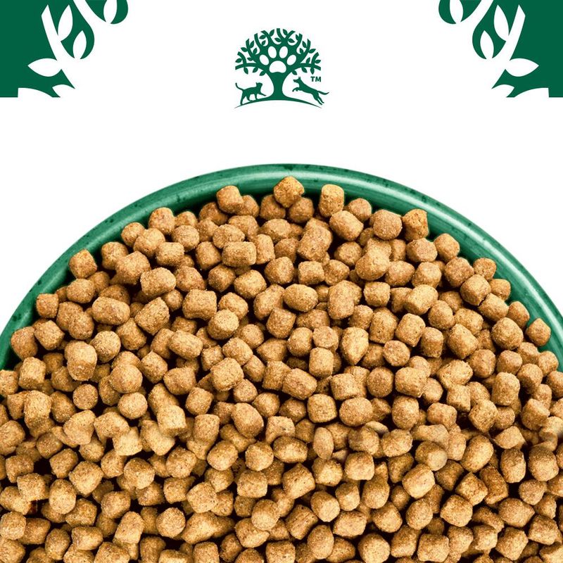 James Wellbeloved Dry Cat Light Adult Fish 4kg