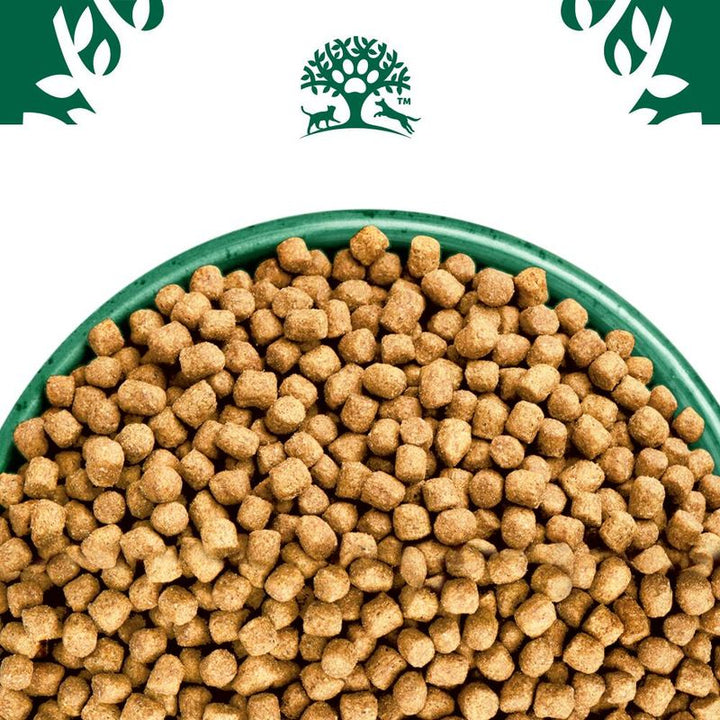 James Wellbeloved Dry Cat Light Adult Fish 4kg
