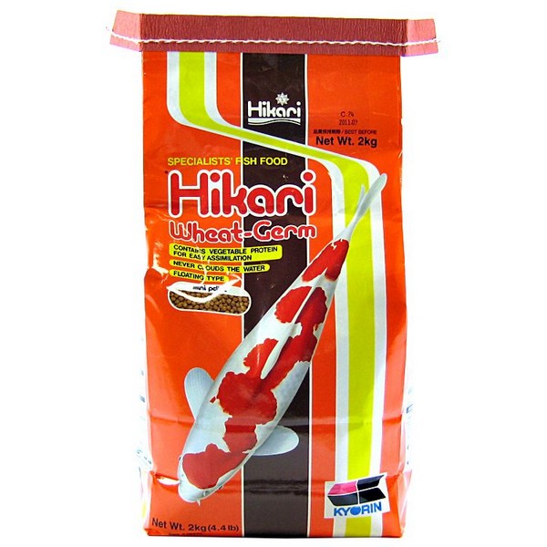 Hikari Wheat-Germ Formula Medium