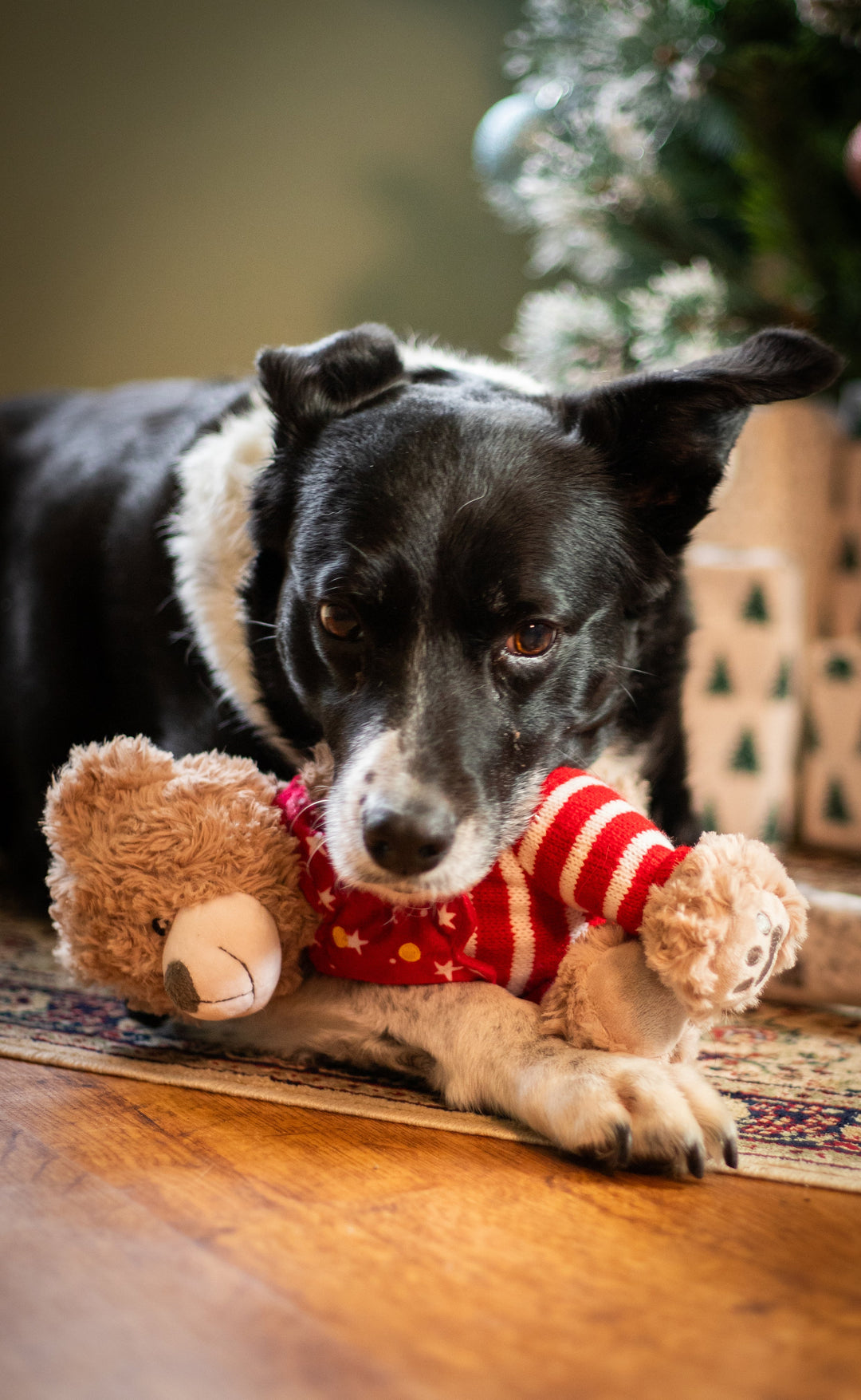 Rosewood Buddy Bear Dog Toy