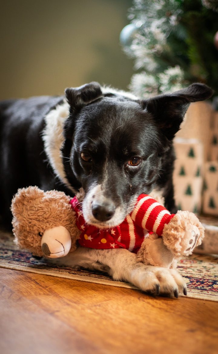 Rosewood Buddy Bear Dog Toy