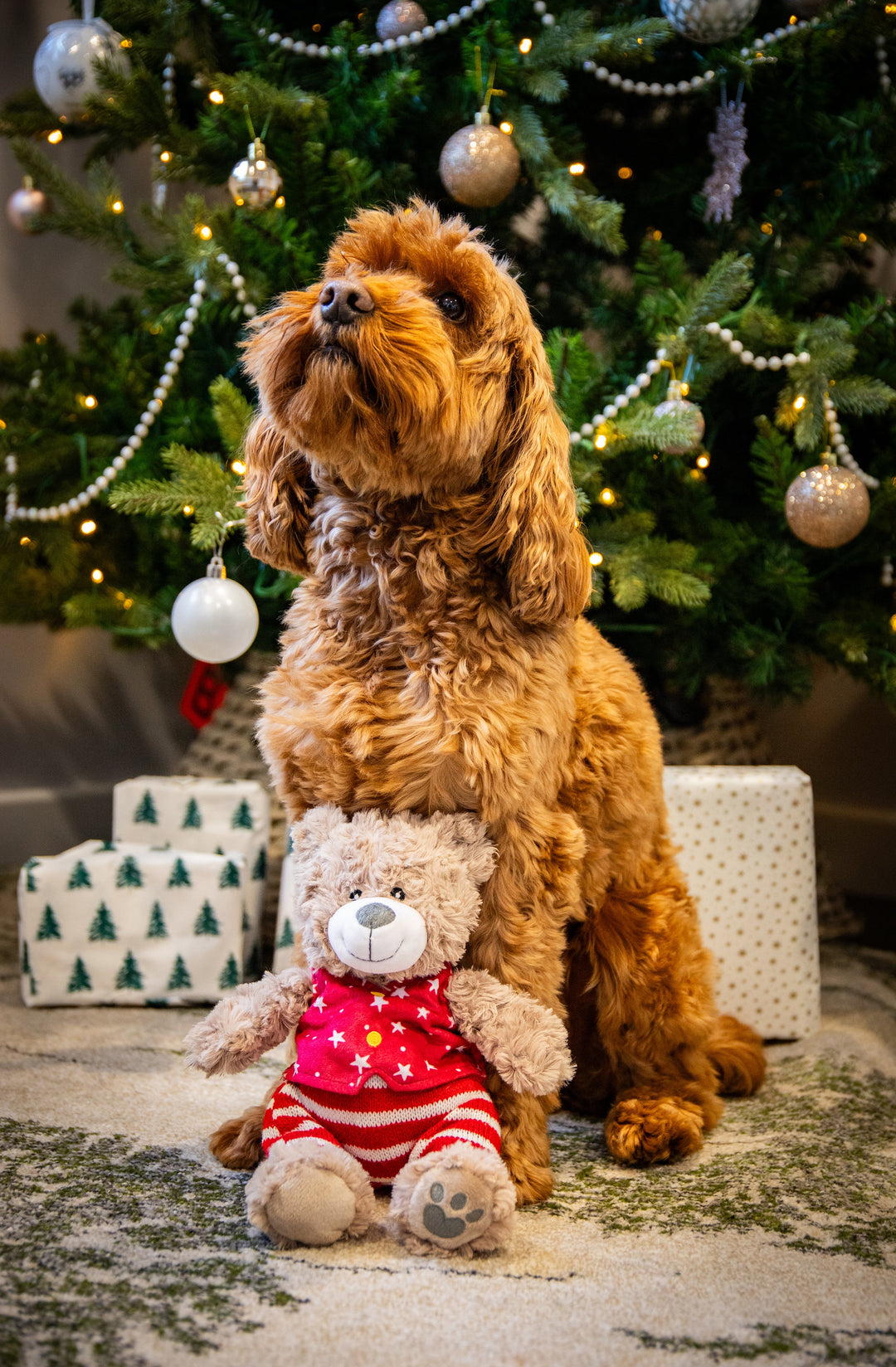 Rosewood Buddy Bear Dog Toy