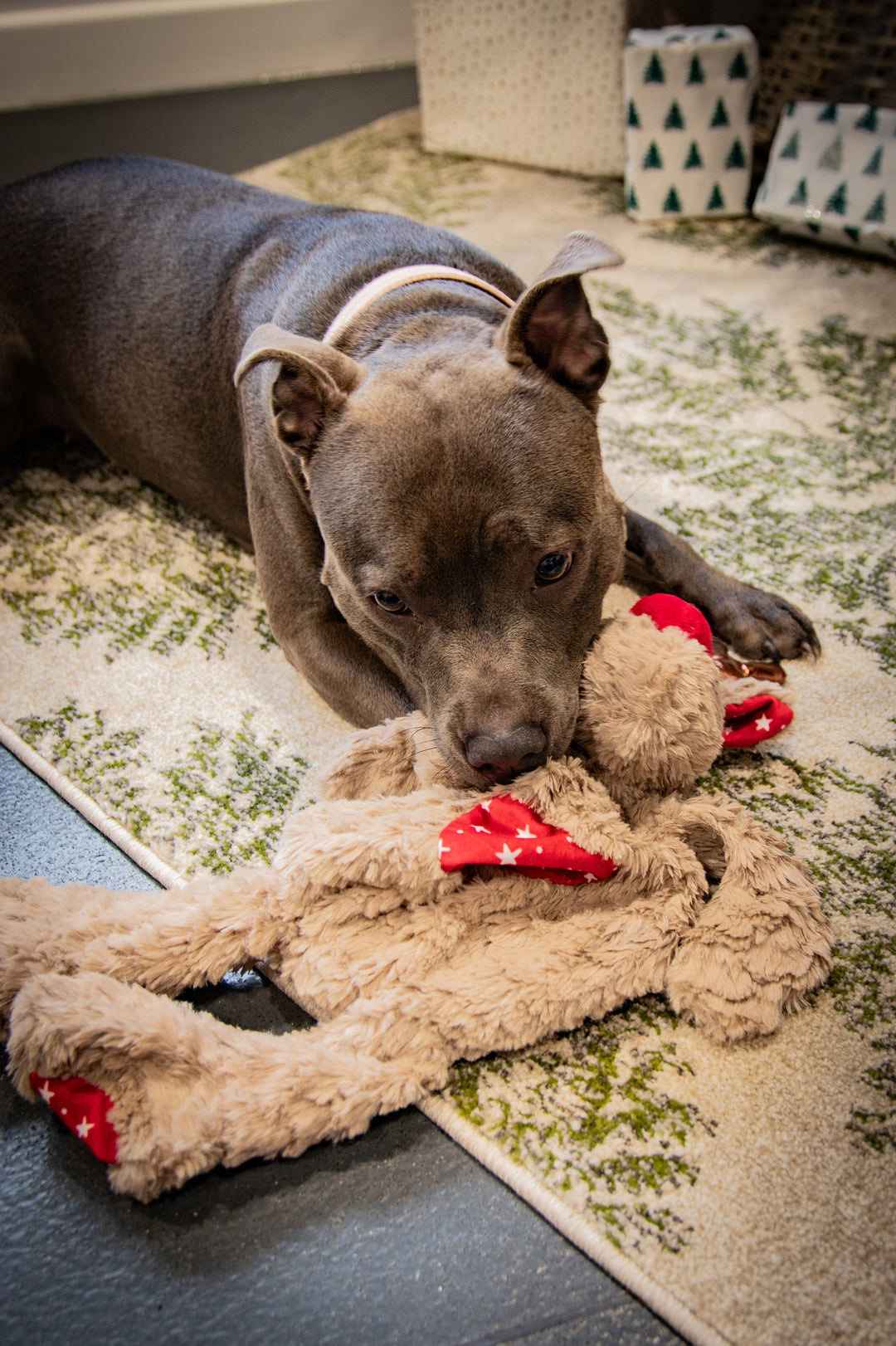 Rosewood Rita Reindeer Dog Toy