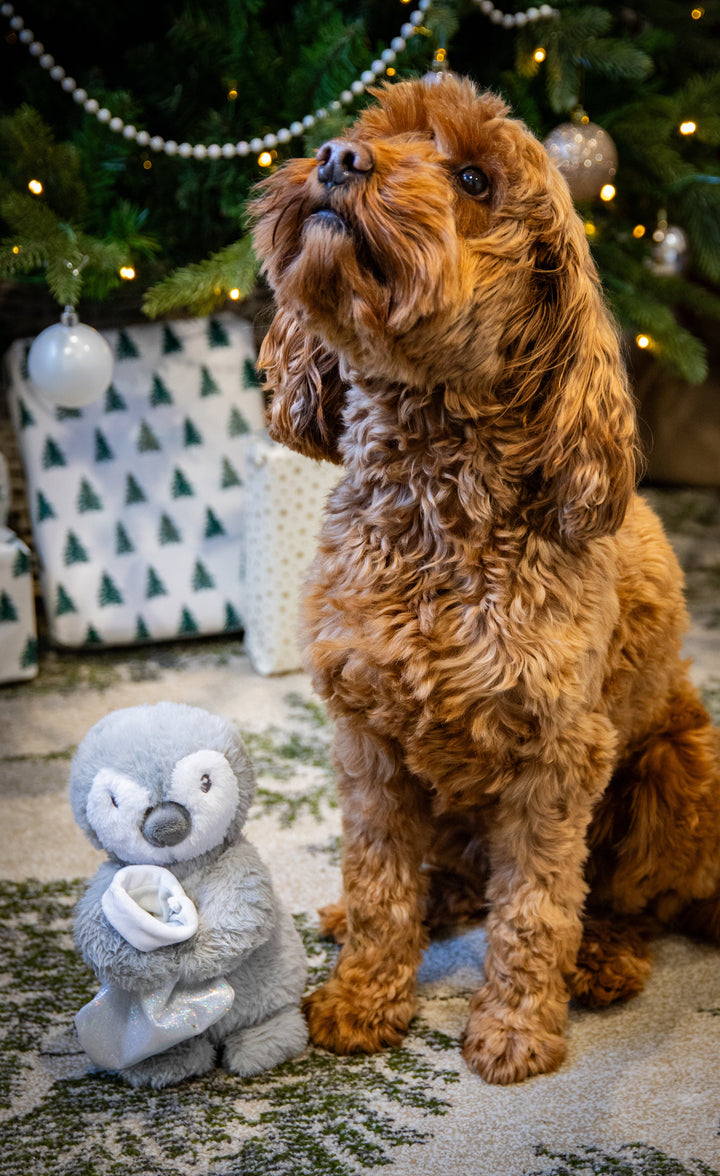 Rosewood Prancer Penguin Dog Toy