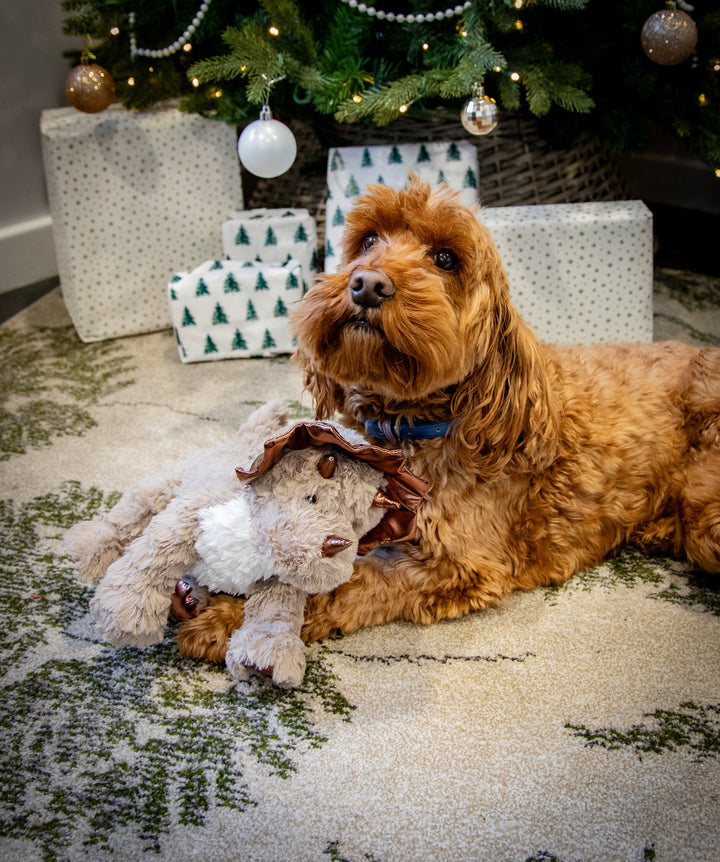 Rosewood Dasher Dino Dog Toy