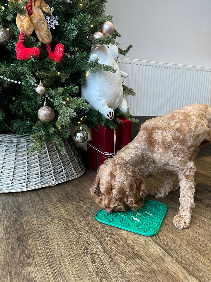 Rosewood Xmas Lickmat With Turkey & Cranberry Paste 75G